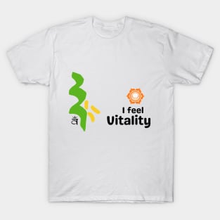 Sacral Chakra Mantra 1 T-Shirt